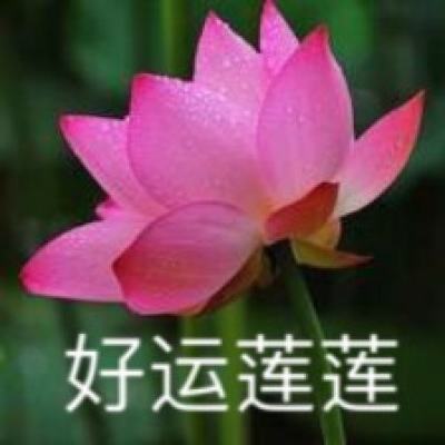 云南省现代农业发展集团在昆揭牌 王宁作出批示 石玉钢出席揭牌仪式并讲话